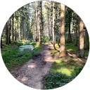 Gilles Kirch Gilles Kirch