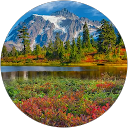 Robert Blum Robert Blum