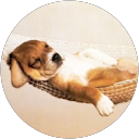 Arnulf Koch Arnulf Koch