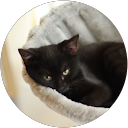 Nick Geilenkeuser Nick Geilenkeuser